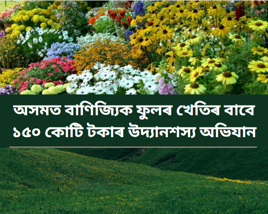 Assam Floriculture Mission