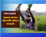 PM KISAN আঁচনিৰ হিতাধিকাৰীৰ আশাত চেঁচাপানী ঢালিলে সাধাৰণ বাজেটে!