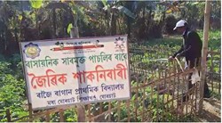 Kitchen Garden in Rajoi LP School