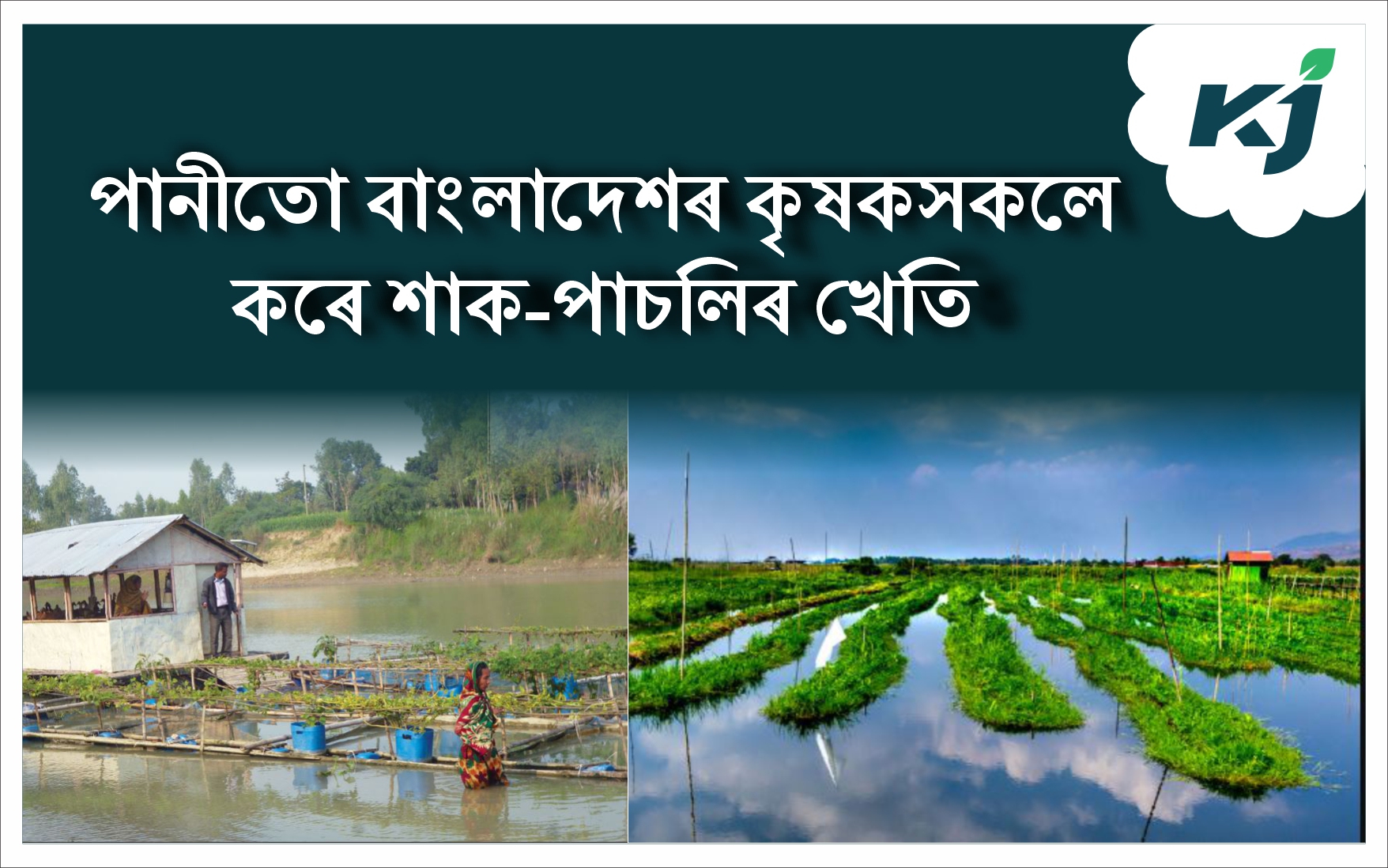 Floating Gardening Practice in Bangladesh