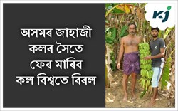 banana cultivation in Kerala by Sultan