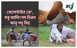 Valentine day, Cow hugged day & Goru bihu