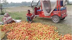 cabbage and Tomato is Rs. 3-4 in Barpeta Road