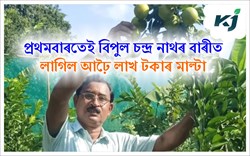 Malta Farming, Bipul chandra Nath & others