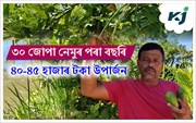 ঘৰৰ বাৰীতে কৰা নেমুৰে খেতিৰে উপাৰ্জন দিলোৱাৰ হুছেইন তাপাদাৰৰ