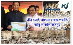 Quail Bird Farming & its Benefits