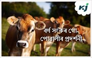 তামুলপুৰত বৰ্ণ সংকৰ গো-পোৱালীৰ প্ৰদৰ্শনী আৰু সজাগতা সভা