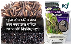 Black Rice Farming & its Benefits
