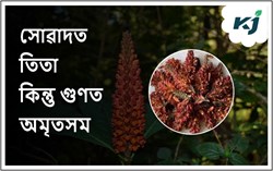 Alusho bubar's health fenefit