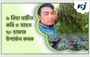 চ’ত মাহৰ আৰম্ভণিতে কৰক এই জাতসমহূৰ মগুমাহ আৰু মাটিমাহ খেতি