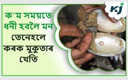 How Farmer can benefited from pearl farming