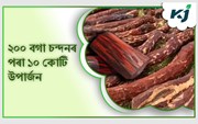 মন কৰিলেই চন, বাকৰি মাটিতেই ধন!  ২০০ জোপা বগা চন্দনৰ খেতিৰে কৰিলে ১০ কোটি উপাৰ্জন