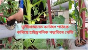 Hydroponic কৃষি পদ্ধতি  কি? কম ঠাইতে কেনেকৈ কৰিব এই পদ্ধতিত খেতি!