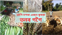 Most common problems and challenges that farmers Face