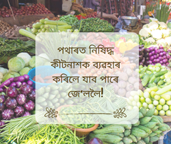 Govt advisory for farmers regarding use of pesticides