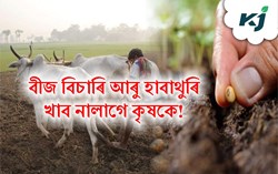 Beej Gram Scheme 2023