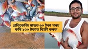 Rupchanda Fish Farming  : ৪-৫ মাহতে  ১ কেজি ওজনৰ হয় ৰূপচন্দা মাছ
