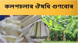 Bumper Health Benefit of  the Kolpasola