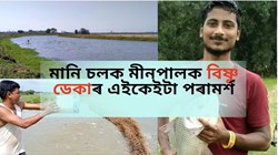 Tips to earn more in less time with fish farming!