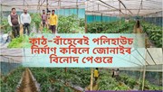 Polyhouse farming : পলিহাউচত কেনেদৰে কৰিব ভোটজলকীয়া খেতি!