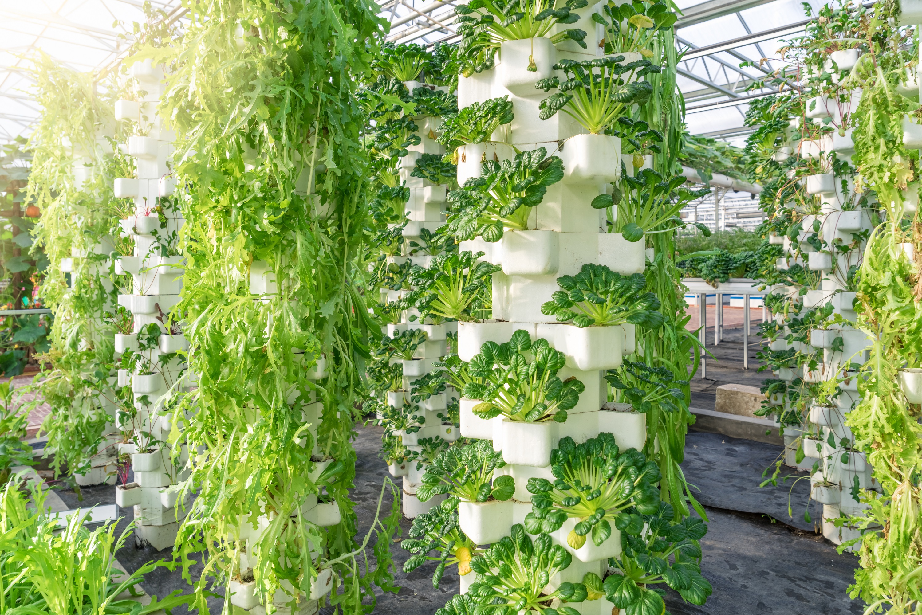 Indoor vertical farming