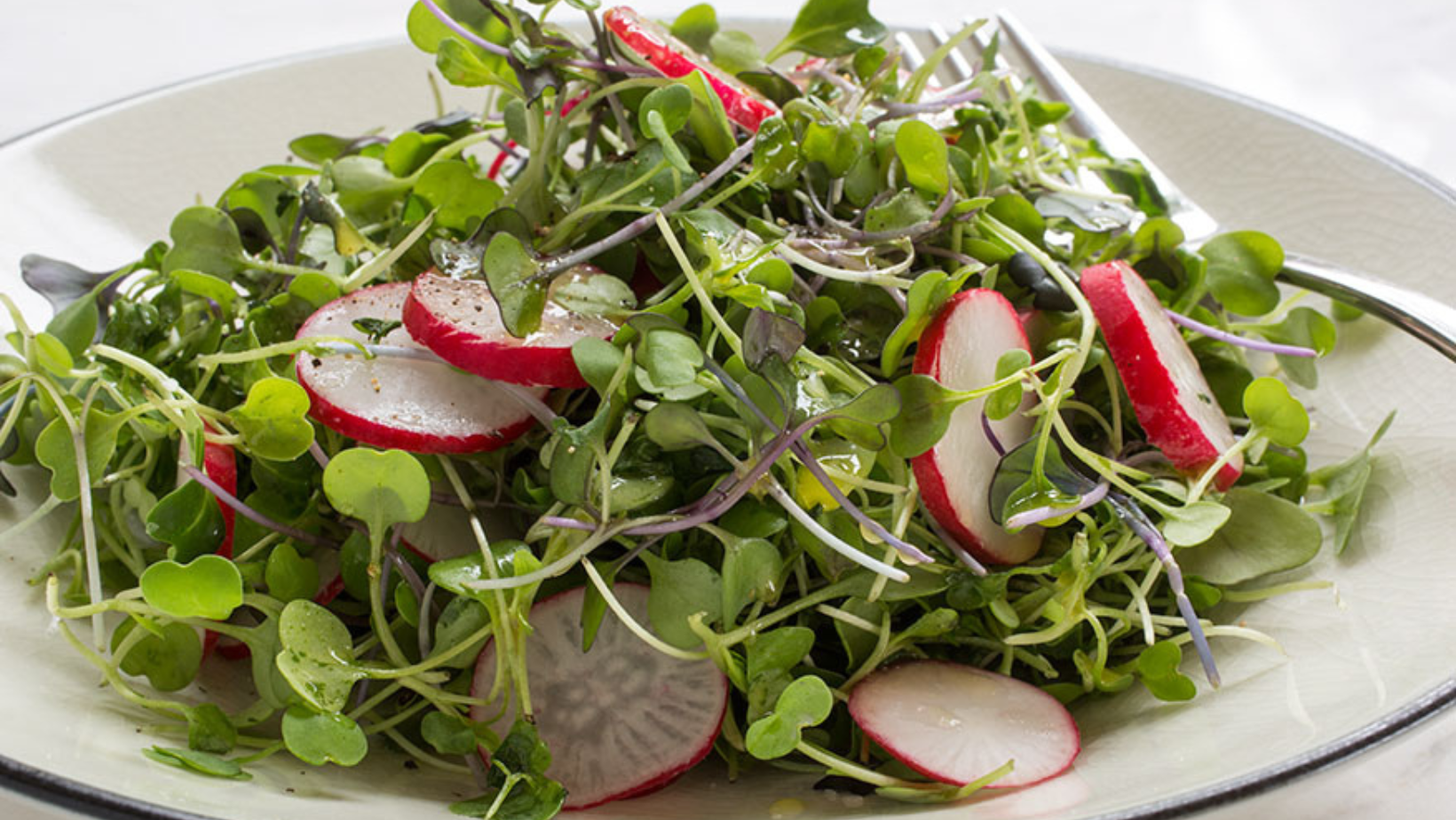 Micro Greens salad