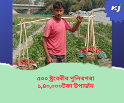 Farmer Pulin Barua earns Rs. 1,40,000 in a year from strawberry cultivation