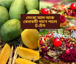 GI tag to langra mango and banarsi paan