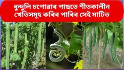 Snake gourd farming & its benefit