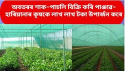 Shade net farming Methods & its Benefit