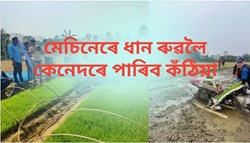 what is paddy mat nursery & its benefit