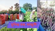 Brinjal cultivation : বেঙেনাৰ খেতিৰে বছৰি ১০-১২ লাখ উপাৰ্জন মুনিন্দ বৰাৰ