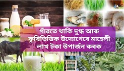 Earn lakhs of rupees monthly with dairy and agricultural industries