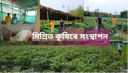 Agri business for rural life