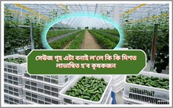 Benefit of The Green House