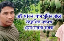 Mango Farming & its Benefit