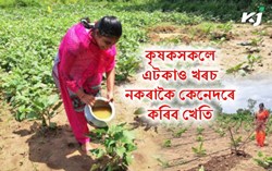 Zero Budget Farming & its benefit