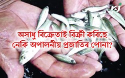 Things to know about the fisherfolk ahead of the Poona Mela in the pond