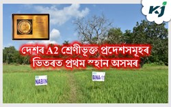Success of Assam in implementation of Crop Insurance Scheme