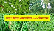 পৰম্পৰাগতভাৱে  বিহুত খাবলগীয়া ১০১ বিধ শাক আৰু ইয়াৰ গুৰুত্ব