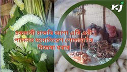 Erie and Erie industry potential