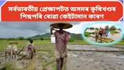 ১০ বছৰ আগলৈ কৃষি আৰু কৃষক বুলিলে নাক কোচাইছিল অসমীয়া মানুহে