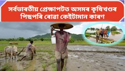 behind the  lagging of  the agricultural sector of Assam
