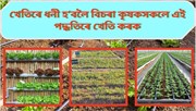 New Farming technique : নতুন কৃষি পদ্ধতিৰে খেতি কৰোঁ আহক