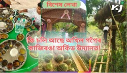 What's going on in the Kaziranga Orchid Garden