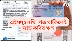 KCC Loan to Animal husbandry farmer