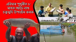 Scientific methods of fish farming
