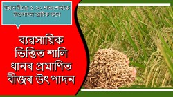 ASSAM SEED & ORGANIC CERTIFICATION AGENCY