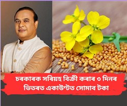 Assam government to buy mustard directly from farmers