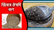 medicinal benefits of cumin : জিৰাৰ ঔষধি গুণ